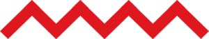 ziczac2.png Endura branded Zig Zag Line